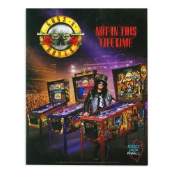 Jersey Jack Pinball Guns N' Roses Flyer